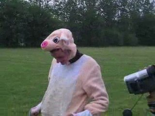 Comment tirer un cochon ?