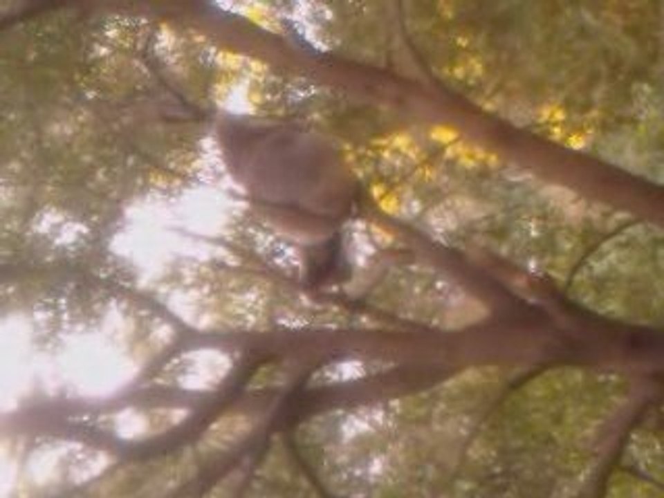 VIDEO0022