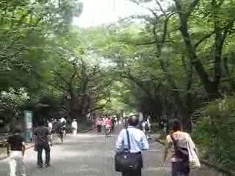 Grillons à Ueno Park