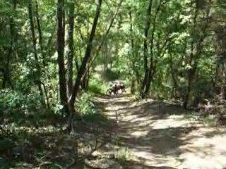 beta fantic enduro