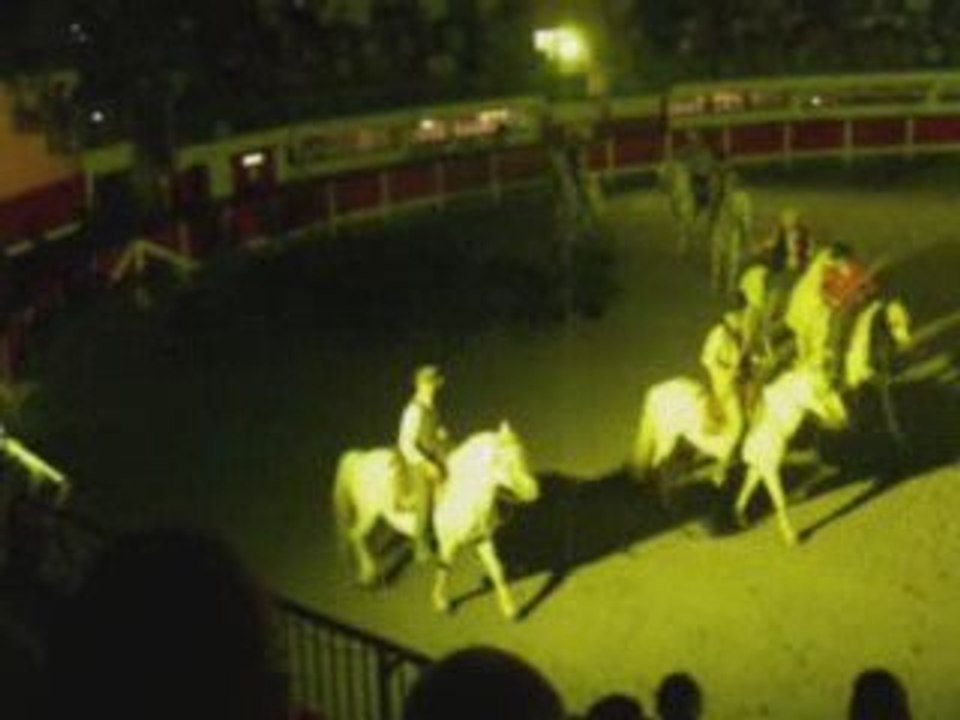 spectacle camargue