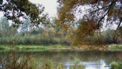 Tadeusz Pszonka wykonuje pieśń "Preghiera" - F. Durante