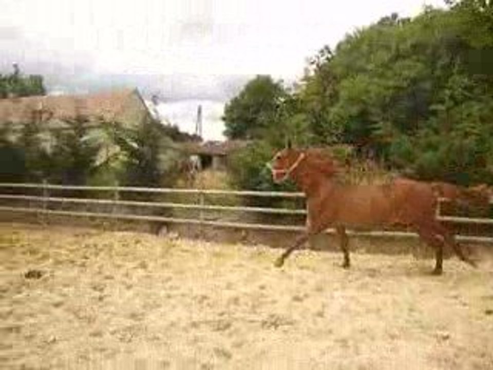 quiqui en mode quéqué