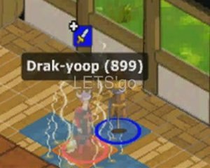 Drak-yoop lvl 100 Dofus