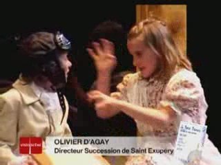 Spectacle Le Petit Prince par Virgil Tanase