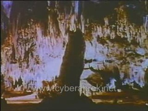 Hayvanlar ve Doga 2 - cyberabrek.net