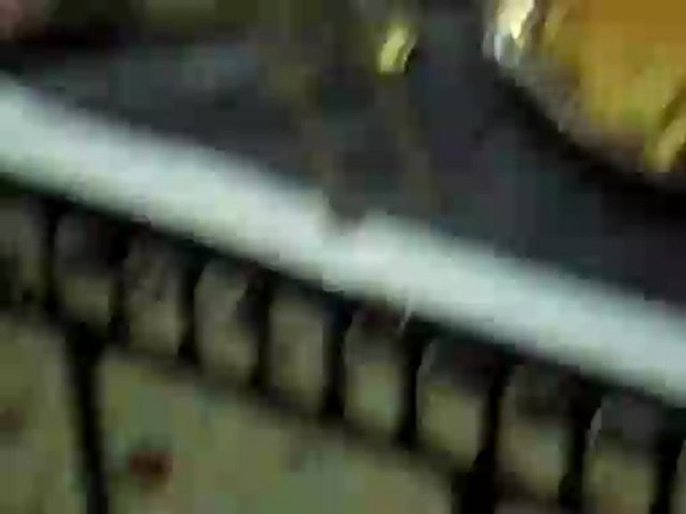 mon nouveau couple snakeskin x discus brun