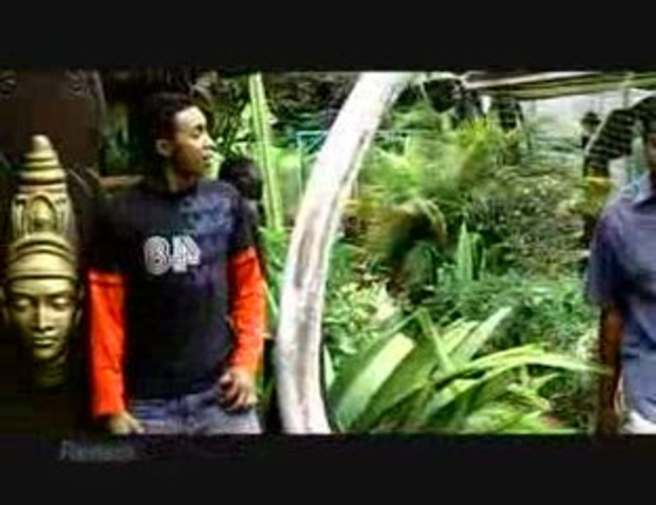 Larrisa Crocodile
