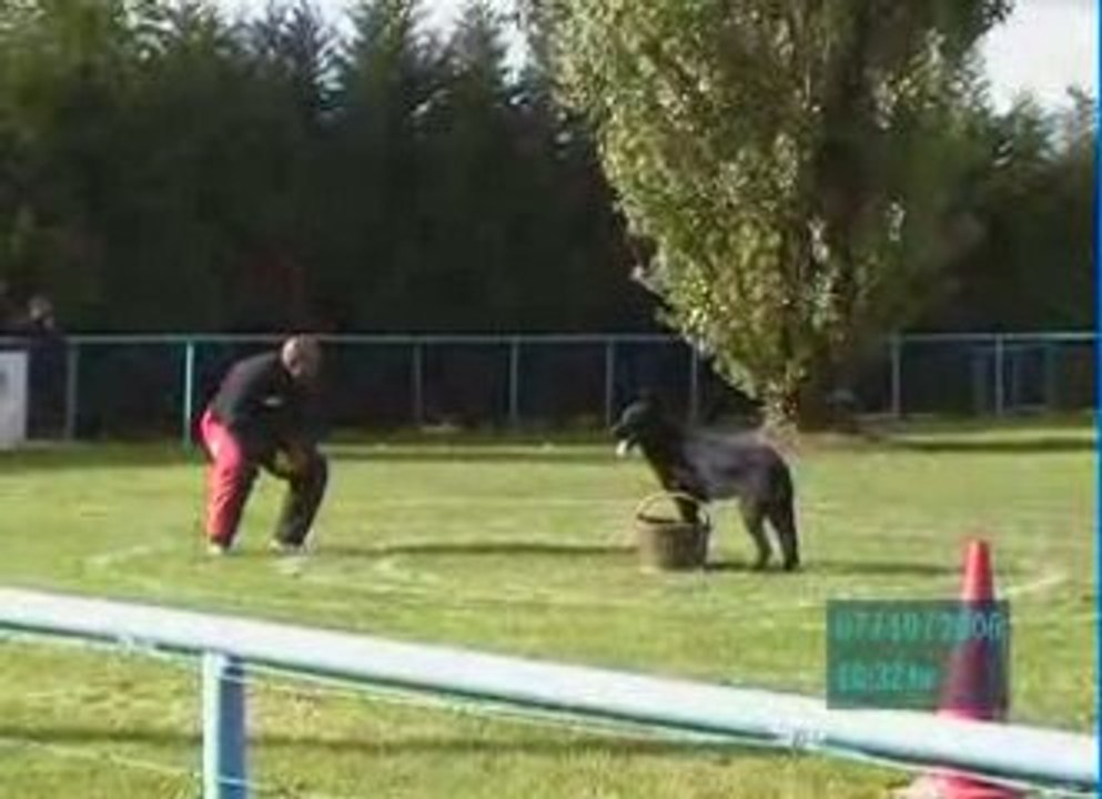 TOMY de la Horde Valnégrienne Champ. région. rhone-alpes