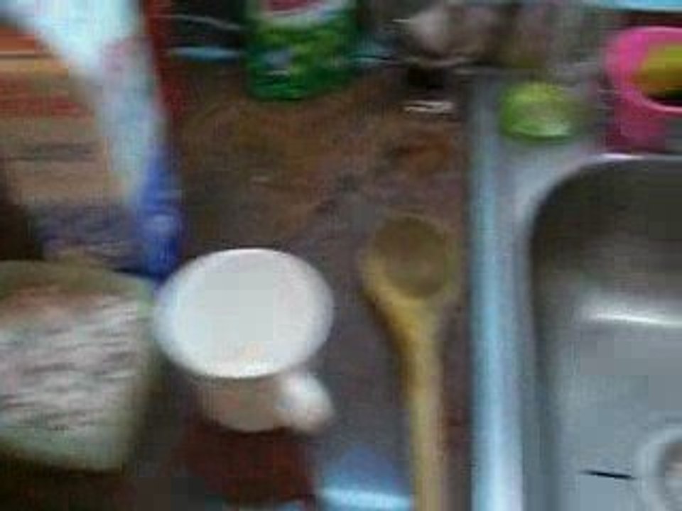 Diario de una semana sin padres 2