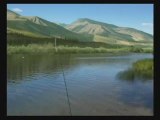 Reel Fishing Anglers Dream Wii - Fishy Gameplay