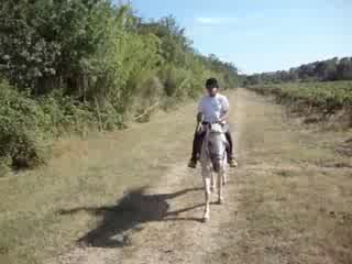 08 11 002 cheval Régis 005