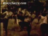 Muay Thai Chaiya 2