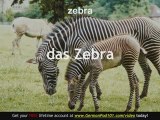 Learn  - German Safari Animals Vocabulary