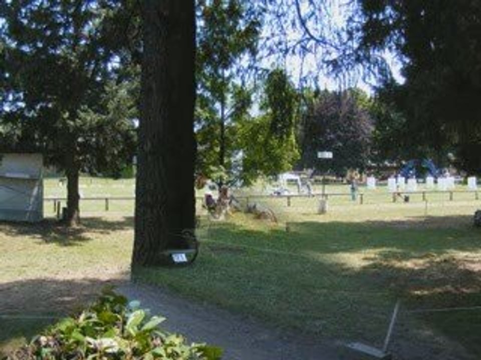 concour d'attelage tarbes 2009