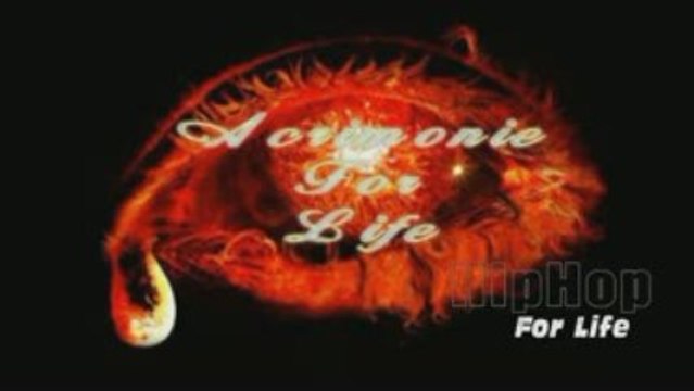 acrimonie 2009 finale danse hip hop 2009 2010