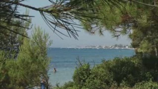 A la Découverte de La Londe Les Maures