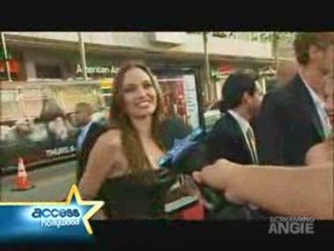 ANGELINA JOLIE & BRAD PITT ' INGLOURIOUS BASTERDS' LA PREMIE