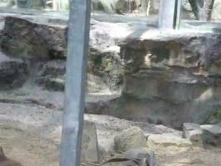 ballade en famille au parc de la tete d or