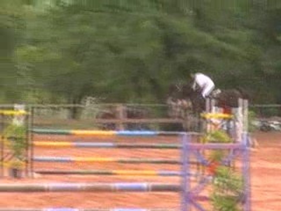 Falcon 11-07-09