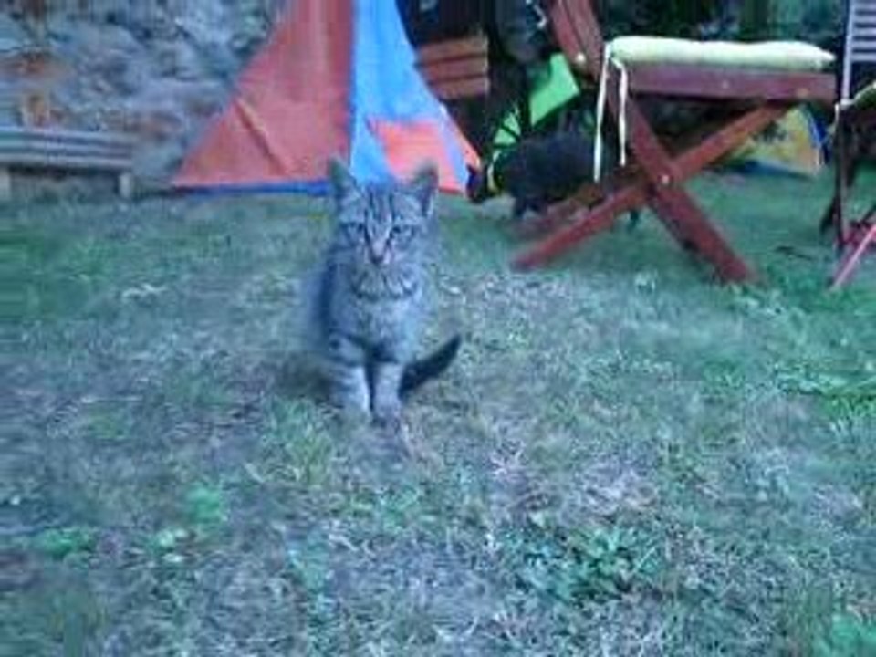 Monsieur gentil rencontre son pote