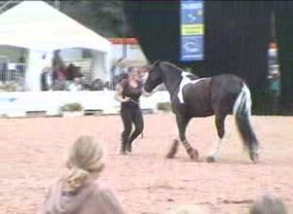 Trophée Equestria 2009: Lorelei Laessle
