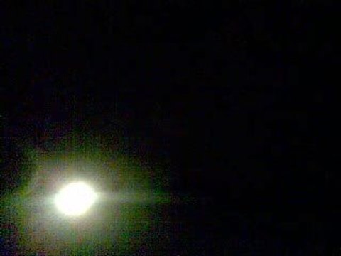 baron black reggae sun ska 2009 camping