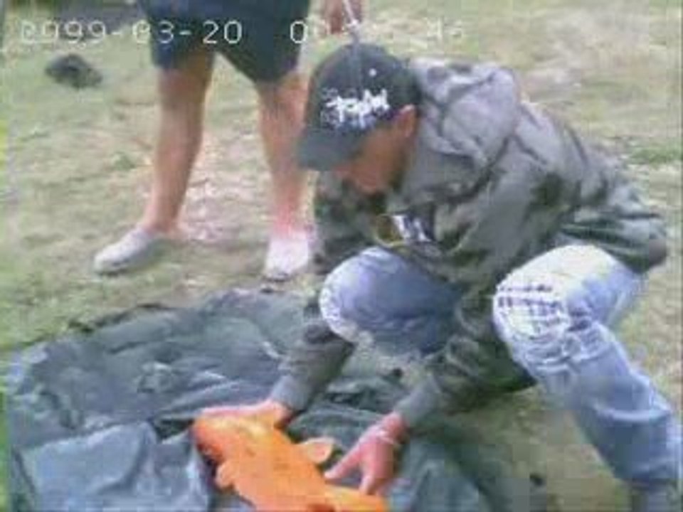 enduro crevechamp