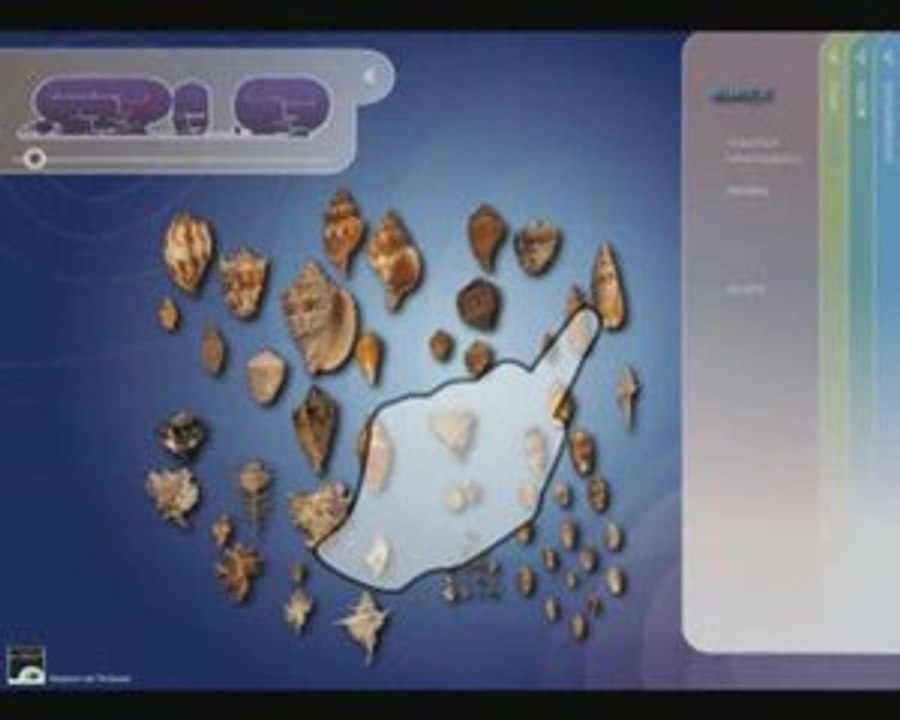 Musée d'Histoire Naturelle de Toulouse