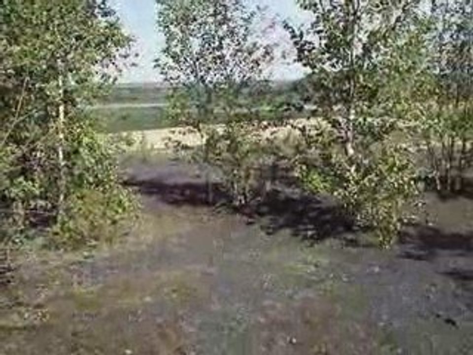 toujours pas de titre