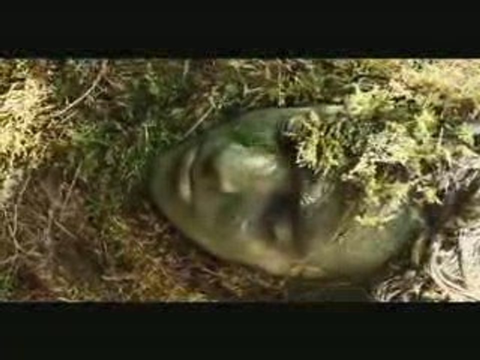 Global warming  - rechauffement climatique 2007.mpg