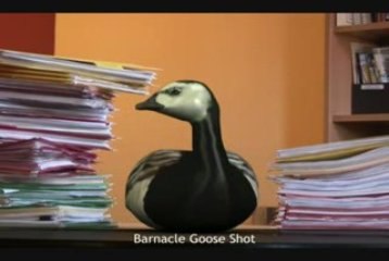 VFS Technical Director Demo Reel