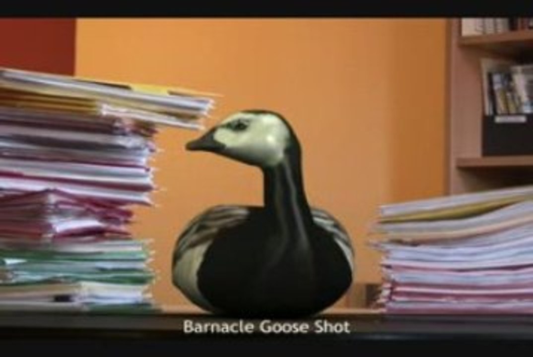 VFS Technical Director Demo Reel