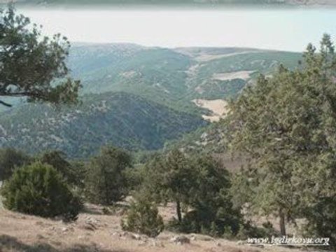 zile tokat (ığdır köyü) zileweb.com