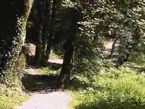 Mountainboard au bois de keroual