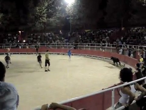 charge au toro piscine