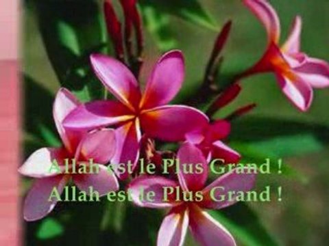 Adhan, iqama, lecture par Cheikh Al Albany