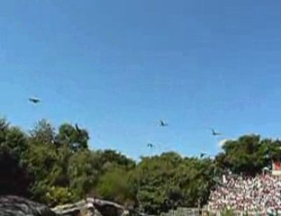 le bal des oiseaux  ( le puy du fou )
