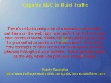 Organic SEO To Build Traffic