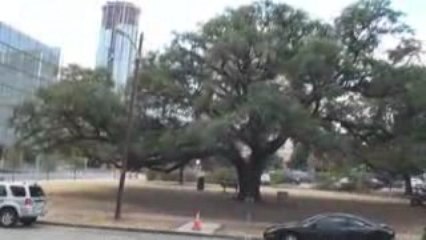 Capitol MetroRail | Downtown Austin Station Location