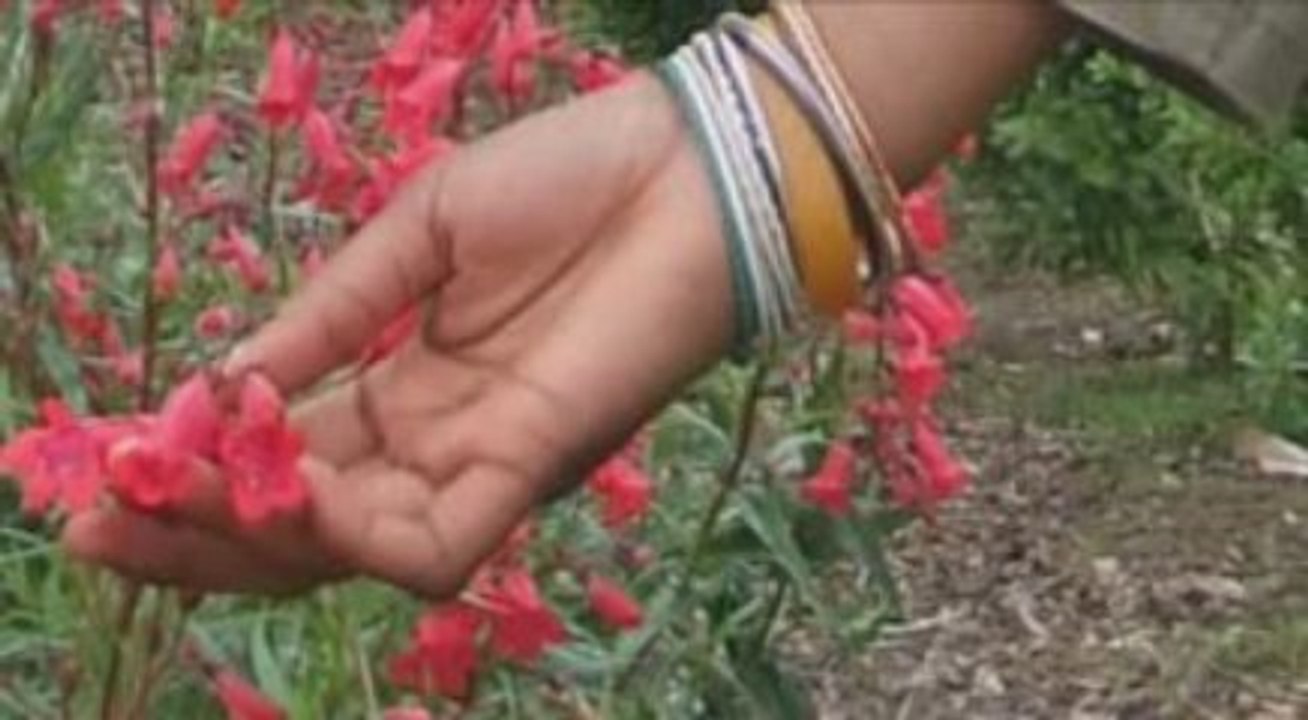 Miss Congo Ireland 2009