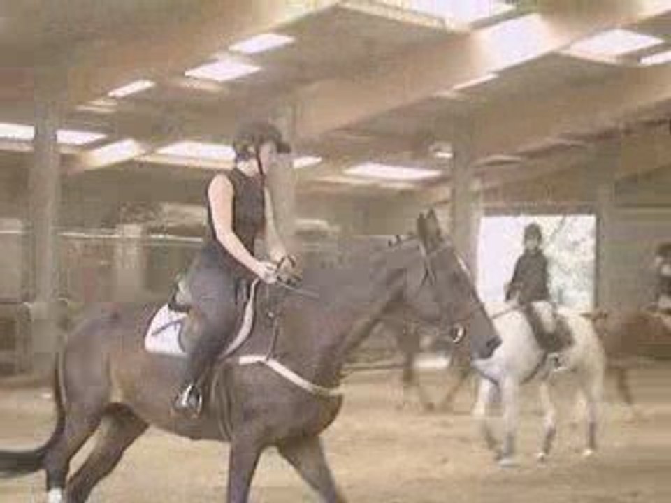 CET Latlo-Iaka-dressage..