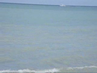 LES VICTORYNE AU TRÉPORT