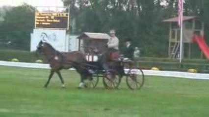 Greven 2009 - dressage marc antoine Jacquet