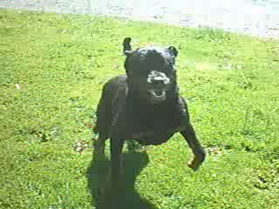 Délire de Prestige après une petite douche..