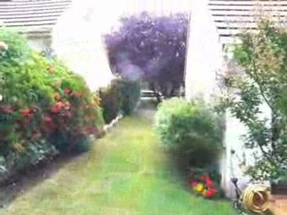 maison brunoryanis jardin