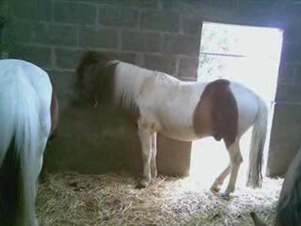 Le club dans tout ses états  ;-)