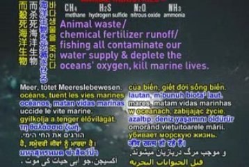 STOP METHANE-A Main Contributor To Global Warming