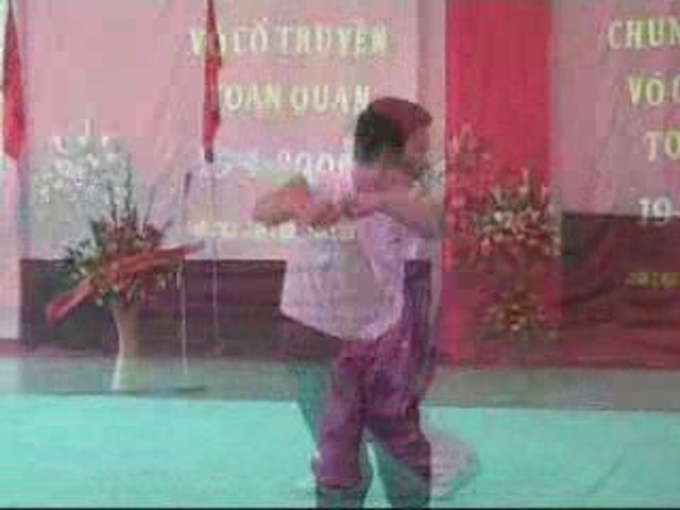 Ecole Cuu Môn Viet Vo Dao - Séjour Vietnam Hanoi 2009