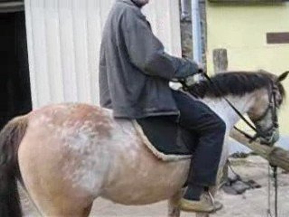 Poqui dompte un cheval sauvage